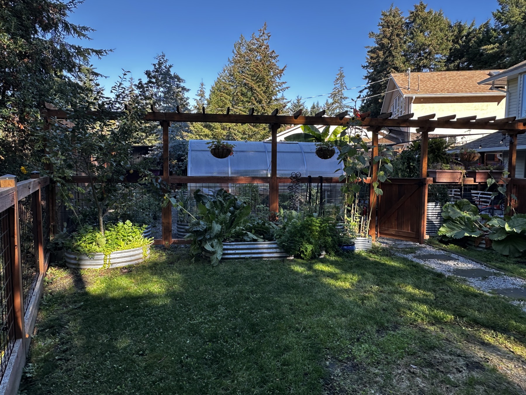 Steve's garden and greenhouse on Vancouver Island